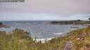 ./images/calvert/foggy-cove/20260522/foggy-cove20260522_133501M.jpg