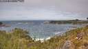 ./images/calvert/foggy-cove/20260522/foggy-cove20260522_135501M.jpg