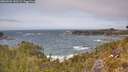 ./images/calvert/foggy-cove/20260522/foggy-cove20260522_140501M.jpg