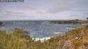 ./images/calvert/foggy-cove/20260522/foggy-cove20260522_142001M.jpg