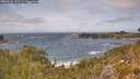 ./images/calvert/foggy-cove/20260522/foggy-cove20260522_142501M.jpg