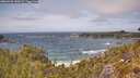 ./images/calvert/foggy-cove/20260522/foggy-cove20260522_143001M.jpg
