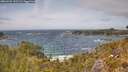 ./images/calvert/foggy-cove/20260522/foggy-cove20260522_143501M.jpg
