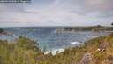 ./images/calvert/foggy-cove/20260522/foggy-cove20260522_144501M.jpg