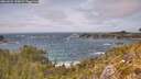 ./images/calvert/foggy-cove/20260522/foggy-cove20260522_145001M.jpg