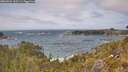 ./images/calvert/foggy-cove/20260522/foggy-cove20260522_145501M.jpg