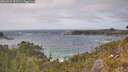 ./images/calvert/foggy-cove/20260522/foggy-cove20260522_152501M.jpg