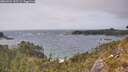 ./images/calvert/foggy-cove/20260522/foggy-cove20260522_155502M.jpg