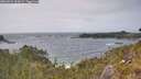 ./images/calvert/foggy-cove/20260522/foggy-cove20260522_160002M.jpg