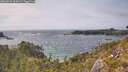 ./images/calvert/foggy-cove/20260522/foggy-cove20260522_163002M.jpg