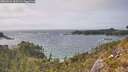 ./images/calvert/foggy-cove/20260522/foggy-cove20260522_163501M.jpg