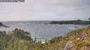 ./images/calvert/foggy-cove/20260522/foggy-cove20260522_164001M.jpg