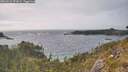 ./images/calvert/foggy-cove/20260522/foggy-cove20260522_172001M.jpg