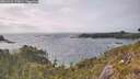 ./images/calvert/foggy-cove/20260522/foggy-cove20260522_173001M.jpg
