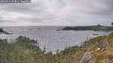 ./images/calvert/foggy-cove/20260522/foggy-cove20260522_174001M.jpg