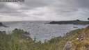 ./images/calvert/foggy-cove/20260522/foggy-cove20260522_174501M.jpg