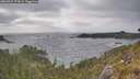 ./images/calvert/foggy-cove/20260522/foggy-cove20260522_175001M.jpg