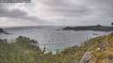 ./images/calvert/foggy-cove/20260522/foggy-cove20260522_175501M.jpg