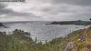 ./images/calvert/foggy-cove/20260522/foggy-cove20260522_180001M.jpg