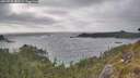 ./images/calvert/foggy-cove/20260522/foggy-cove20260522_180501M.jpg