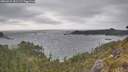 ./images/calvert/foggy-cove/20260522/foggy-cove20260522_181501M.jpg