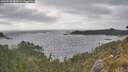./images/calvert/foggy-cove/20260522/foggy-cove20260522_182001M.jpg