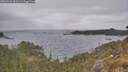 ./images/calvert/foggy-cove/20260522/foggy-cove20260522_192501M.jpg