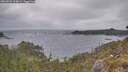 ./images/calvert/foggy-cove/20260522/foggy-cove20260522_193001M.jpg