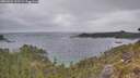 ./images/calvert/foggy-cove/20260522/foggy-cove20260522_193501M.jpg