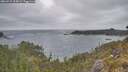 ./images/calvert/foggy-cove/20260522/foggy-cove20260522_194001M.jpg