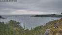 ./images/calvert/foggy-cove/20260522/foggy-cove20260522_212001M.jpg