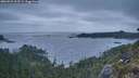 ./images/calvert/foggy-cove/20260522/foggy-cove20260522_213501M.jpg