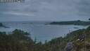 ./images/calvert/foggy-cove/20260523/foggy-cove20260523_051001M.jpg