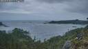 ./images/calvert/foggy-cove/20260523/foggy-cove20260523_051501M.jpg