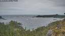 ./images/calvert/foggy-cove/20260523/foggy-cove20260523_053001M.jpg