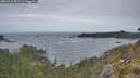 ./images/calvert/foggy-cove/20260523/foggy-cove20260523_053501M.jpg