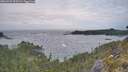 ./images/calvert/foggy-cove/20260523/foggy-cove20260523_055501M.jpg