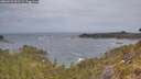 ./images/calvert/foggy-cove/20260523/foggy-cove20260523_061502M.jpg