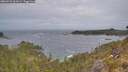 ./images/calvert/foggy-cove/20260523/foggy-cove20260523_062001M.jpg