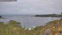 ./images/calvert/foggy-cove/20260523/foggy-cove20260523_062501M.jpg