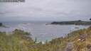 ./images/calvert/foggy-cove/20260523/foggy-cove20260523_063501M.jpg