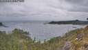 ./images/calvert/foggy-cove/20260523/foggy-cove20260523_064001M.jpg