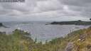 ./images/calvert/foggy-cove/20260523/foggy-cove20260523_064501M.jpg