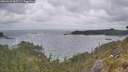 ./images/calvert/foggy-cove/20260523/foggy-cove20260523_065501M.jpg