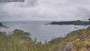 ./images/calvert/foggy-cove/20260523/foggy-cove20260523_070501M.jpg