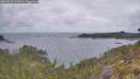 ./images/calvert/foggy-cove/20260523/foggy-cove20260523_071001M.jpg
