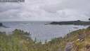 ./images/calvert/foggy-cove/20260523/foggy-cove20260523_071501M.jpg