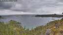 ./images/calvert/foggy-cove/20260523/foggy-cove20260523_075001M.jpg