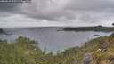 ./images/calvert/foggy-cove/20260523/foggy-cove20260523_075501M.jpg