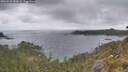 ./images/calvert/foggy-cove/20260523/foggy-cove20260523_080001M.jpg